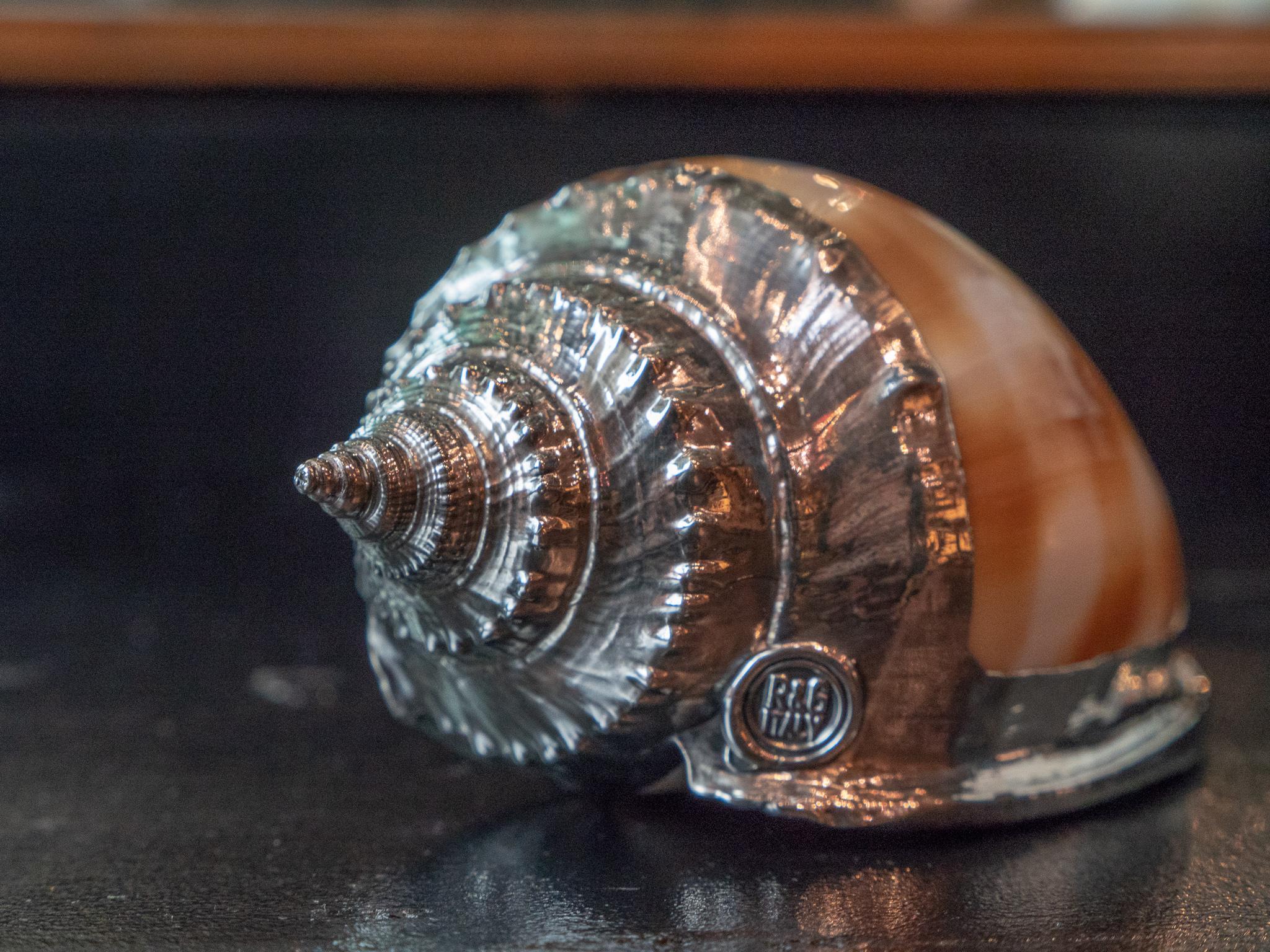 Flying shell bonnet